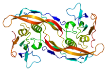 Protein BMPR1A PDB 1es7.png