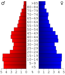 Schéma représentant la population du comté, par tranche d'âge. En rouge, à gauche, les femmes, en bleu à droite, les hommes.