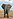 African Bush Elephant