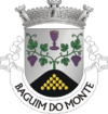 Brasão de armas de Baguim do Monte