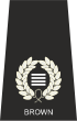 Special Constabulary Chief Officer Insignia