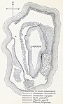 Map showing an island with a lagoon with seabird rookeries marked