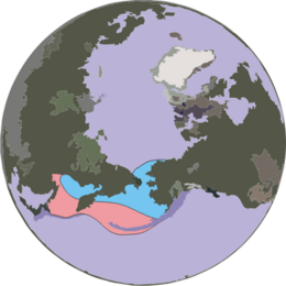 Ribbon-seal-range a.png