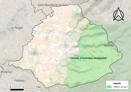 Carte de la ZNIEFF de type 1 sur la commune.