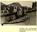 An old photograph of Muğla chimneys.