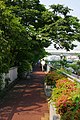 堂島川左岸線 堂島大橋～上船津橋