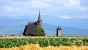 Wooden church in Sebiș, viewed from Păcălești