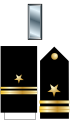 Lieutenant (junior grade) (United States Navy)[10]