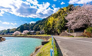 新野町大歳