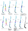 The death toll in the Maule Regional Earthquake of 2010 (A.K.A.-2010 Chile earthquake) by 14.35 and 15.35 on February the 27th, 03.23 on February the 28th and the apparently final death toll of 05.00 on March the 1st