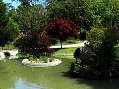 Bassin du jardin public.