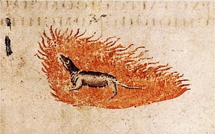 La salamandra, mito de la regeneración por el fuego, en el Dioscórides de Viena manuscrito anterior al año 512.