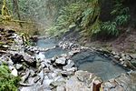 Thumbnail for Terwilliger Hot Springs