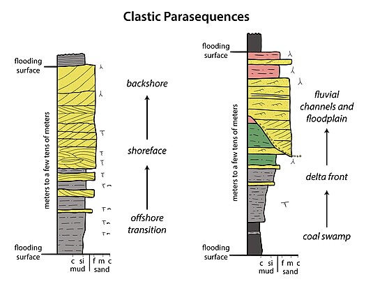 Esempi di parasequenze in successioni silicoclastiche. A sinistra abbiamo una parasequenza costiera, con alla base sedimenti marini di piattaforma continentale e a tetto sedimenti di spiaggia; a destra una sequenza di delta, con alla base facies di baia interdistributaria, seguiti da depositi di fronte deltizia e infine di canale fluviale e piana deltizia/alluvionale.