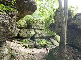 Exposure at Dodge County Ledge Park, Wi