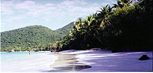 A tropical beach with sand, surf and trees. Some bathers enjoy the blue waters.