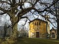 Il tiglio monumentale al cimitero