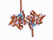 1agr​: Kompleks ALF4-aktiviranog Gi-alfa-1 sa RGS4