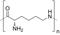 Skeletal formula of polylysine