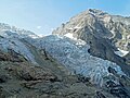 Blick auf Rosenlauigletscher und Wellhorn