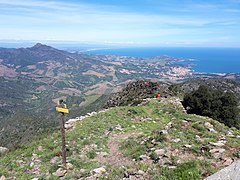 La partie inférieure (orientale) du bassin versant de Baillaury, vue depuis la tour de Querroig. En bas : Banyuls-sur-Mer.