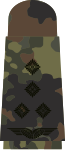 Stabshauptmann (flecktarn)