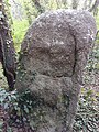 Menhir de Quélarn, vue rapprochée depuis le talus, avec l'arbre près de lui