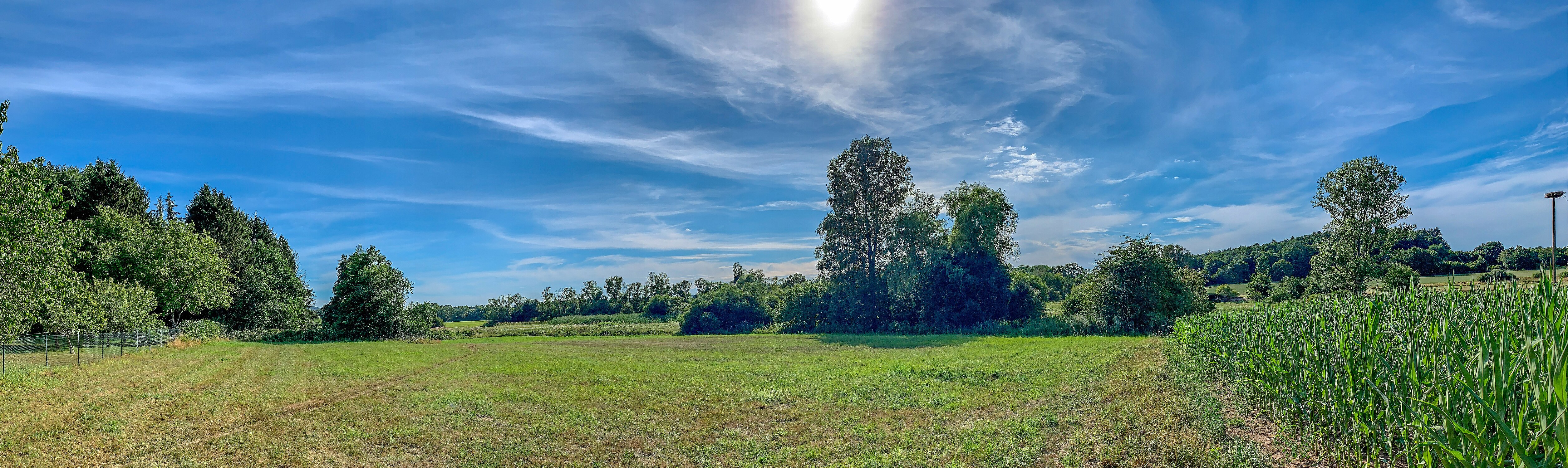 Panorama des Naturschutzgebietes Kühnbruch. Am rechten Bildrand ist das Storchennest zu erkennen.