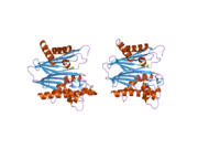 2p8e: Crystal structure of the serine/threonine phosphatase domain of human PPM1B