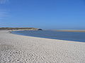 Les dunes de l'île de Texel.