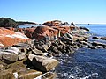 Bay of Fires, East Coast ning Tasmania