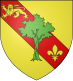 Coat of arms of Houppeville