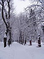 Vinter i Chişinău