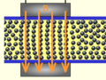 Thumbnail for Magnetorheological fluid