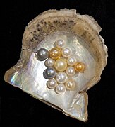 Pearl, one of three June birthstones