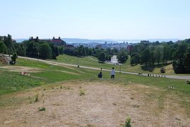 Torshovdalen, sett fra toppen av parken. Foto: Helge Høifødt