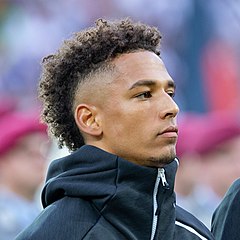 Thilo Kehrer (2019)