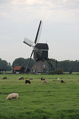 Tiendwegse Molen (2008)