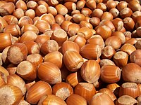 File:Hazelnuts.jpg