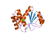 2img: Crystal structure of dual specificity protein phosphatase 23 from Homo sapiens in complex with ligand malate ion