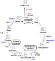 Vorschaubild der Version vom 16:18, 26. Mär. 2011