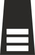 Special Chief Inspector Rank Insignia