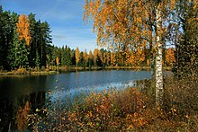 The lake Väikene Saarjärv, Antsla parish,Estonia