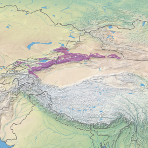 Ecoregion territory (in purple)