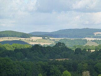 Blick von Südosten in einen Teil des Dransfelder Stadtwaldes mit dem auf dem Hohen Hagen stehenden Gaußturm