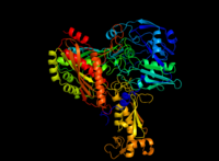 Caffeine dehydrogenase