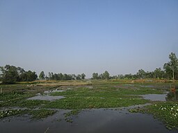 মশানগাঁও গ্রামের পাশে গন্দর নদী