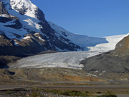 Athabasca Gletsjer in Nationaal park Jasper