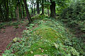 Muur Kleiner Hünenring (links het binnenste gedeelte van de wal)