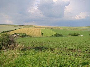 Lângă drumul Turda-Ploscoș (județul Cluj)